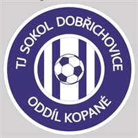 Logo TJ Sokol Dobřichovice B
